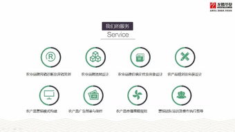 成都農(nóng)業(yè)品牌策劃營(yíng)銷與產(chǎn)品包裝設(shè)計(jì)服務(wù)